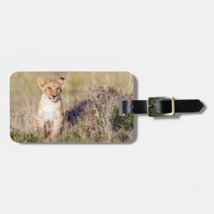 Étiquette À Bagage Petit lion en Afrique photo de la faune