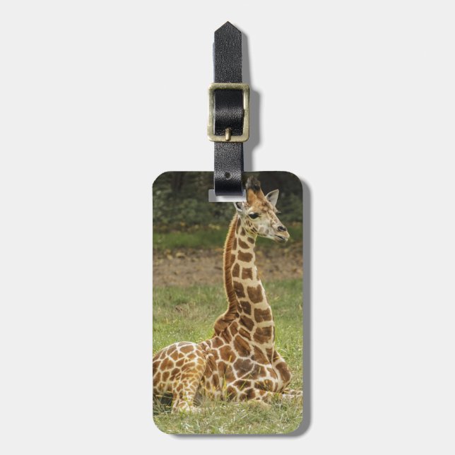 Étiquette À Bagage Photo de girafe (Devant Vertical)