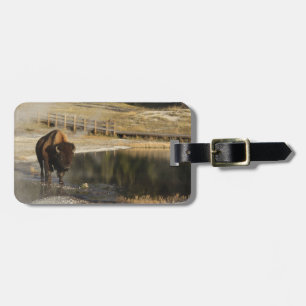 Étiquette À Bagage Photo de la faune américaine personnalisée Bison Y