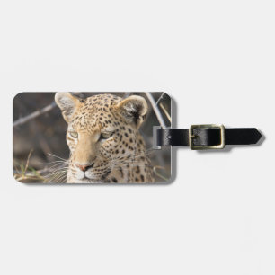 Étiquette À Bagage Photo de la faune léopard Afrique Safari animal
