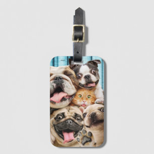 Étiquette À Bagage Photo d'un groupe de chiens et de chats