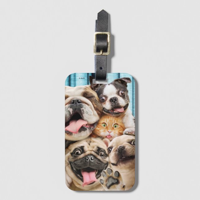 Étiquette À Bagage Photo d'un groupe de chiens et de chats (Devant Vertical)