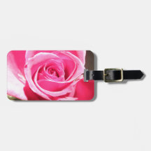 Photo florale de fleur de bourgeon de rose de rose