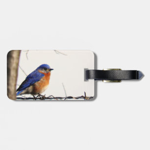 Étiquette À Bagage Photo orientale d'oiseau bleu