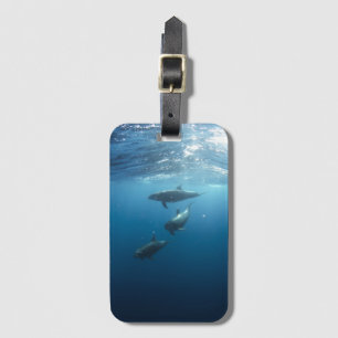 Étiquette À Bagage Photo sous-marine de la famille Dolphin