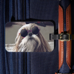 Étiquette À Bagage Photo vintage de Shih Tzu cool aux lunettes de sol