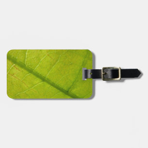 Étiquette À Bagage Photographie de la nature botanique de la feuille