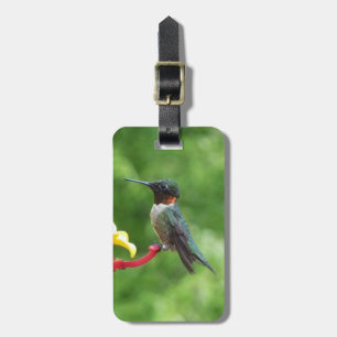 Étiquette À Bagage Photographie d'oiseau Colibri à gorge rubis