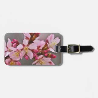 Étiquette À Bagage Pink Against A Gray Sky Japanese Cherry Blossoms