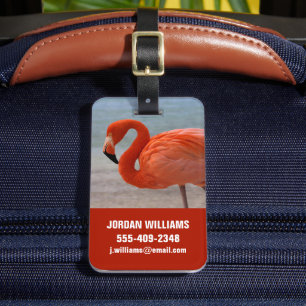 Étiquette À Bagage Plages tropicales   Flamant rose des Caraïbes, Aru