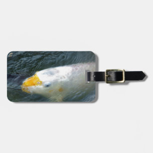 Étiquette À Bagage Poisson D'Or Dans Le Lac