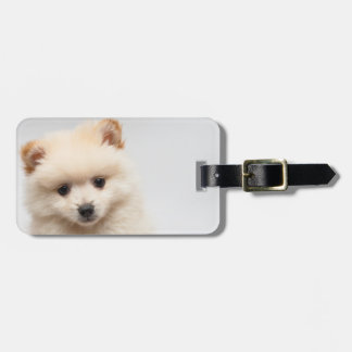 Étiquette À Bagage Pomeranian trop mignon