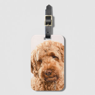 Étiquette À Bagage Portrait de Goldendoodle Studio
