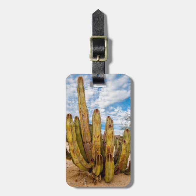 Étiquette À Bagage Portrait de Old Man Cactus, Mexique (Devant Vertical)