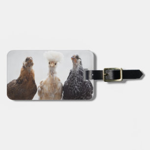 Étiquette À Bagage Portrait de trois poulets d'animal familier