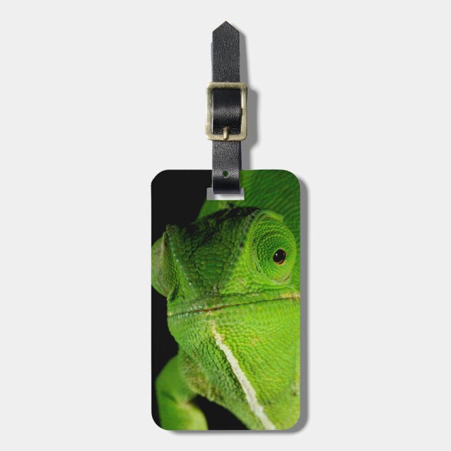 Étiquette À Bagage Portrait Du Chameleon À Cou-Volant (Devant Vertical)