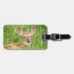 Étiquette À Bagage Portrait d'un faon (cerf de Virginie)