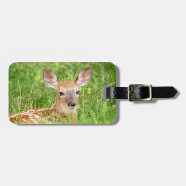 Étiquette À Bagage Portrait d'un faon (cerf de Virginie) (Devant horizontal)