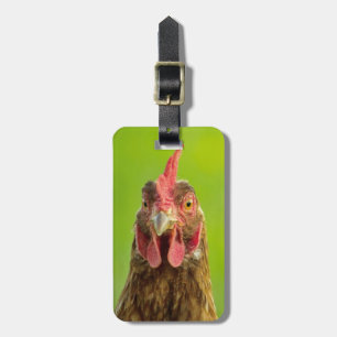 Étiquette À Bagage Poulet drôle - étiquette de bagage d'adresse