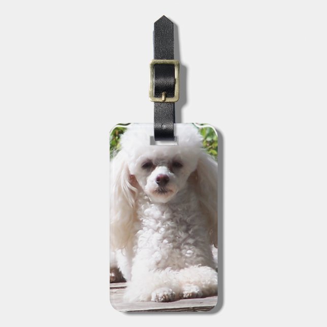 Étiquette À Bagage Produit de personnaliser (Devant Vertical)