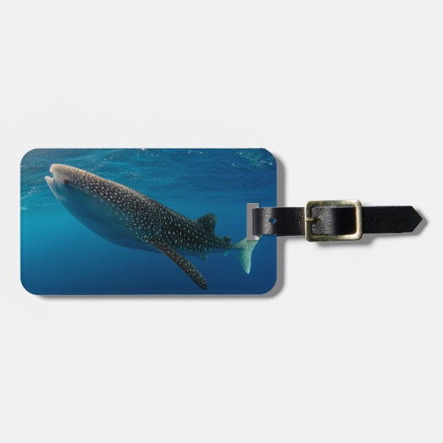 Étiquette À Bagage Profil d'un requin baleine, Indonésie (Devant horizontal)