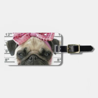 Pug