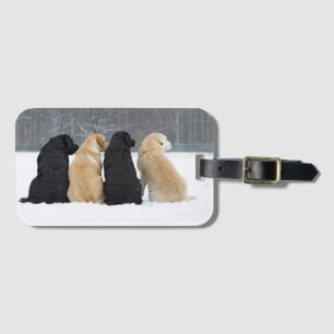 Étiquette À Bagage Quatre Chiens du Labrador en neige