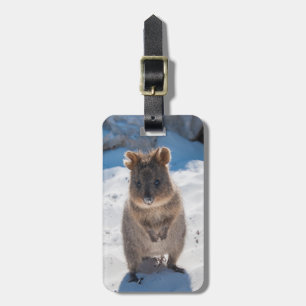 Étiquette À Bagage Quokka : L'animal le plus heureux sur la planète !