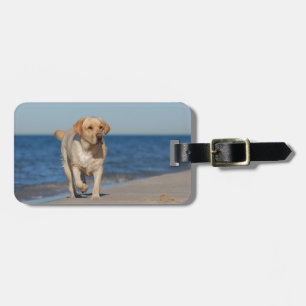 Étiquette À Bagage Récupérateur de labrador jaune sur la plage