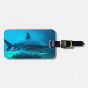 Étiquette À Bagage Requin de nuit (Carcharhinus Obscurus), Ushaka