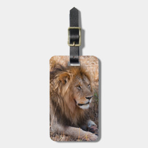 Étiquette À Bagage Réserve nationale du Lion Massai Mara, Kenya