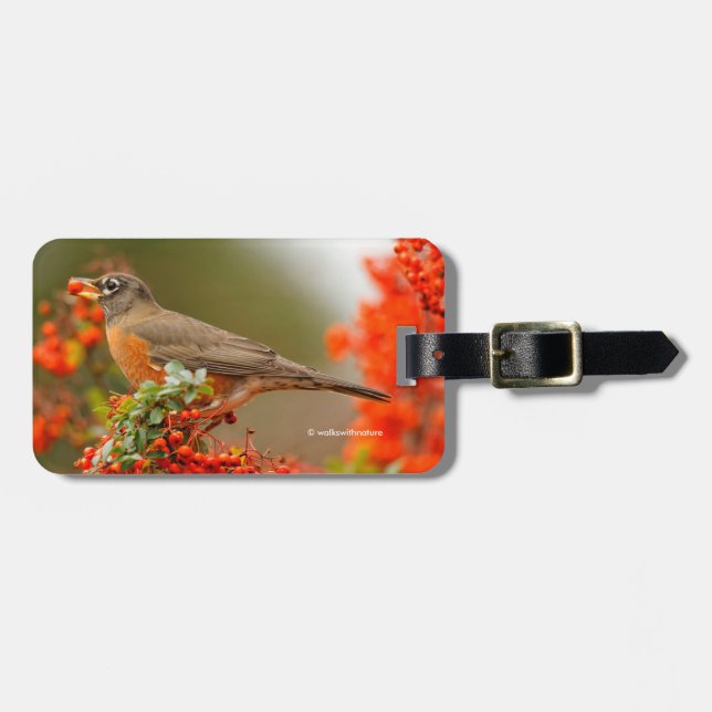 Étiquette À Bagage Robin américain avec Pyracantha Pomme (Devant horizontal)