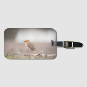 Étiquette À Bagage Robin Bird Nature Photo