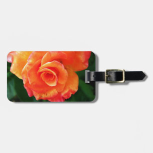 Étiquette À Bagage Rose orange