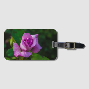 Étiquette À Bagage Rose pourpre