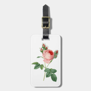 Étiquette À Bagage rose vintage botanical illustration