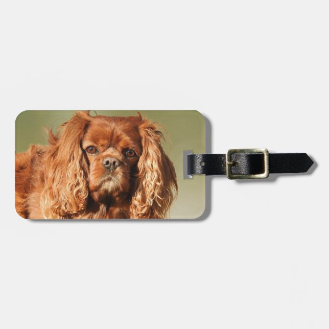 Étiquette À Bagage Ruby Cavalier King Charles Spaniel (Devant horizontal)