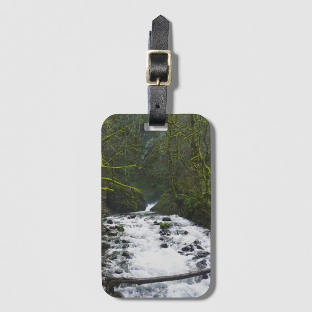 Étiquette À Bagage Runoff from Bridal Veil Falls (Devant Vertical)