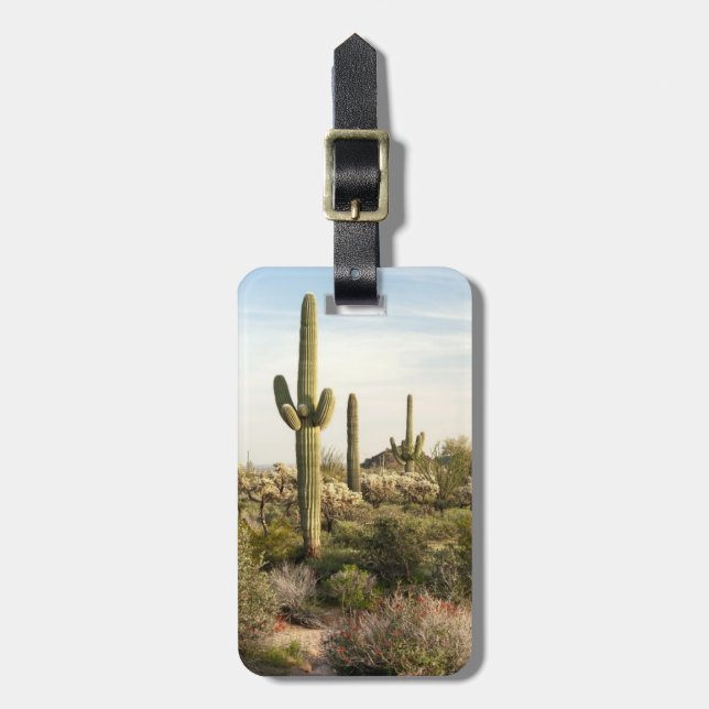 Étiquette À Bagage Saguaro Cactus, Arizona, États-Unis (Devant Vertical)