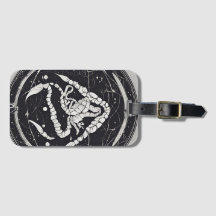 Scorpion céleste signe zodiaque