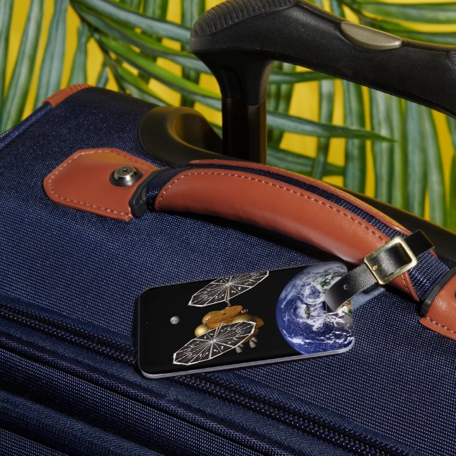 Étiquette À Bagage Séparation Du Véhicule D'Entrée Sur Une Mission Ma (Insitu Rectoal 3)