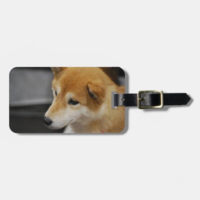 Étiquette À Bagage shiba-inu-2.jpg (Devant horizontal)