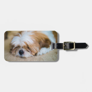 Étiquette À Bagage Shih Tzu