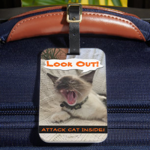 Étiquette À Bagage Siamese Attaque Cat Avertissement Gros plan Photo