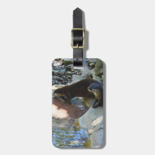 Étiquette À Bagage **"Sips by the Stream : Otters Drinking from River