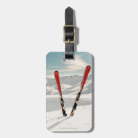 Skis rouges