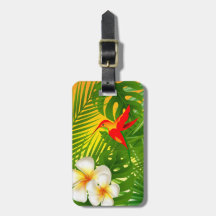 Soleil tropical avec un petit colibri