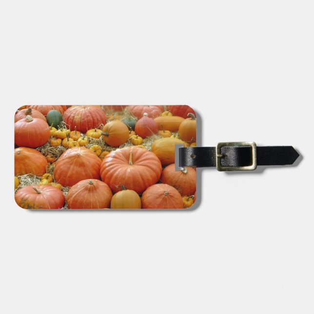 Étiquette À Bagage Squash Galore (Devant horizontal)