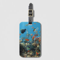 Stripey Poisson Tropical Coral Chaos