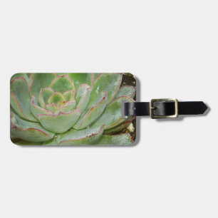 Étiquette À Bagage Succulent, poules et poulets